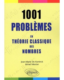 1001 problèmes en théorie...