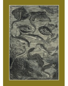 Carnet ligné : Vingt mille...