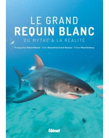 Le grand requin blanc