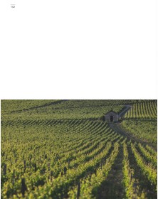 Bouchard Père & Fils