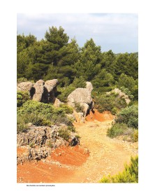 Alpilles, les plus belles...