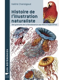 Histoire de l'illustration...