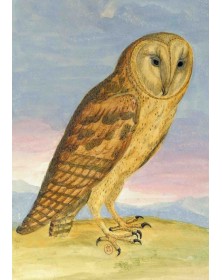 Carnet Ligné, Chouette Hulotte