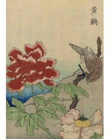 Carnet Ligné, Oiseaux...