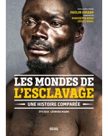 Les Mondes de l'esclavage
