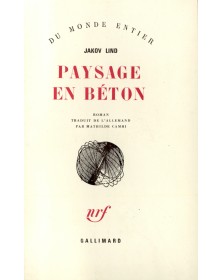 Paysage en béton