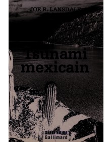 Tsunami mexicain