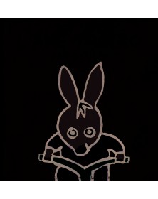 L'âne Trotro fait du vélo