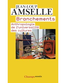 Branchements