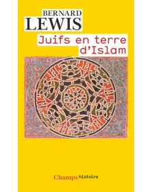 Juifs en terre d'islam