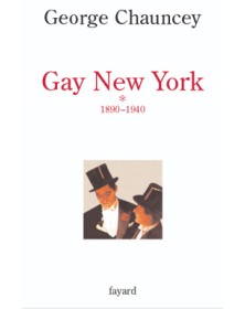 Gay New York, tome 1