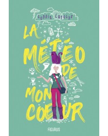 La météo de mon c ur