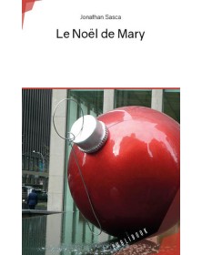 LE NOEL DE MARY