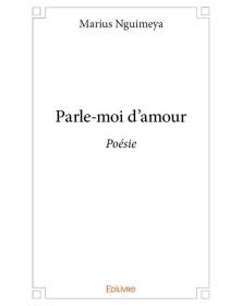 Les aventures de pirilinne