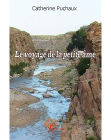 Le voyage de la petite âme
