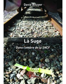 Démocratie, constitution,...