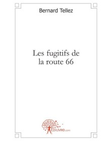 Les fugitifs de la route 66