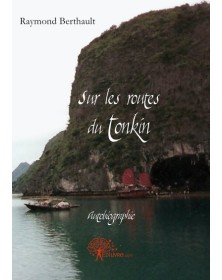 Sur les routes du tonkin