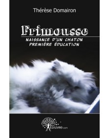 Frimousse - naissance d'un...