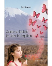 Comme se brûlent les ailes...