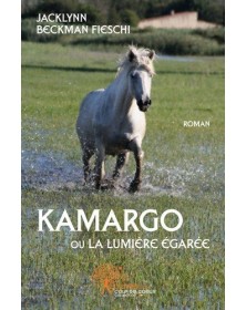 Kamargo ou la lumière égarée