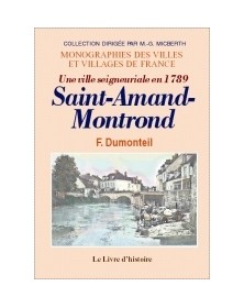 Une ville seigneuriale en...