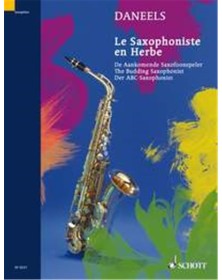 The Budding Saxophonist
