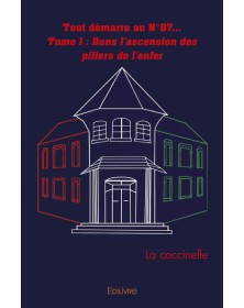 Tout démarre au n°87...