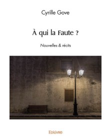 à qui la faute ?
