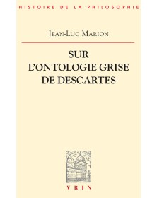 Sur l'ontologie grise de...