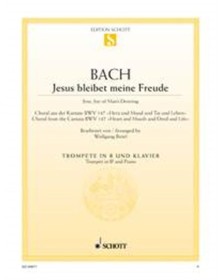 Jésus que ma joie demeure