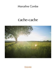 Cache cache