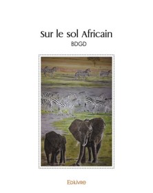 Sur le sol africain