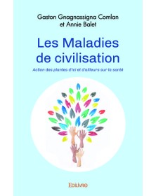 Les maladies de civilisation
