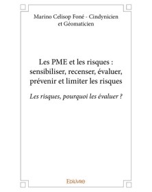Les pme et les risques :...