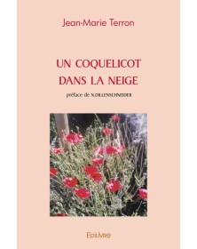 Un coquelicot dans la neige