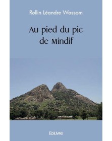 Au pied du pic de mindif