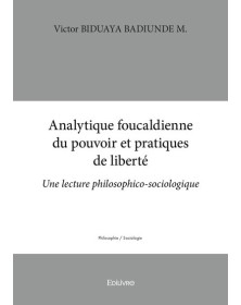 Analytique foucaldienne du...