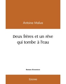 Deux frères et un rêve qui...