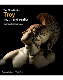 Troy (Hardback) /anglais