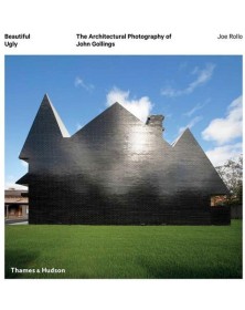 Beautiful Ugly /anglais