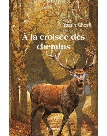 à la croisée des chemins