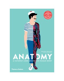 Anatomy: A Cutaway Look...