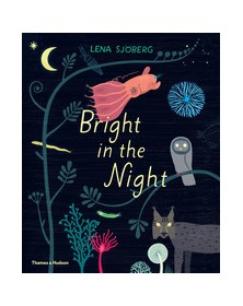 Bright in the Night /anglais