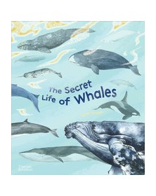 The Secret Life of Whales...