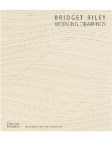 Bridget Riley Working...