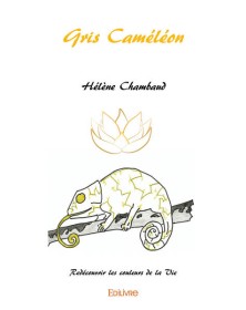 Gris caméléon