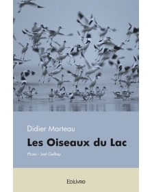 Les oiseaux du lac