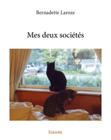 Mes deux sociétés