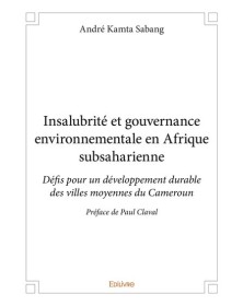 Insalubrité et gouvernance...